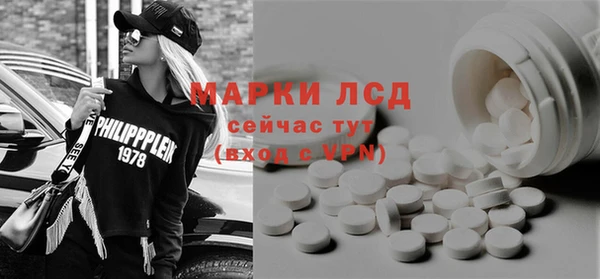 дживик Богородск