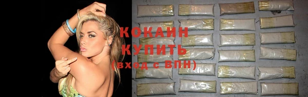 дживик Богородск