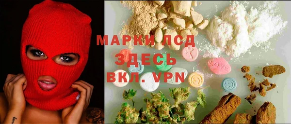 дживик Богородск