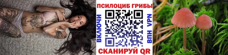 Псилоцибиновые грибы Cubensis  где найти   Коркино 